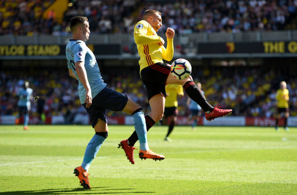 他们不仅能 他们不仅能