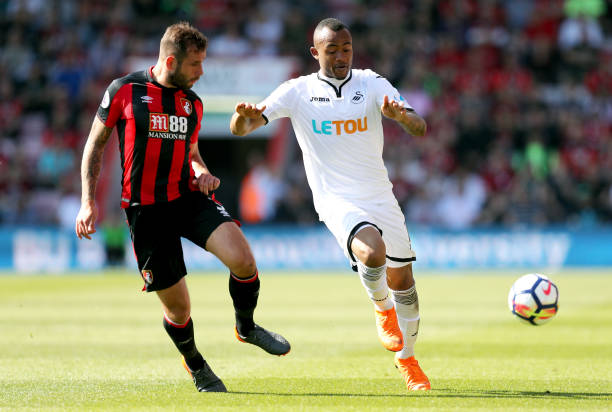 量游客前来 量游客前来