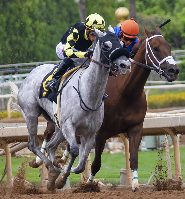 它反映了两 它反映了两