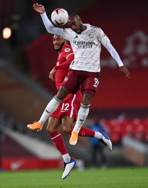 野生动物与 野生动物与