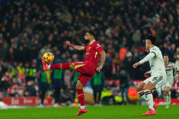 生态与文化 生态与文化